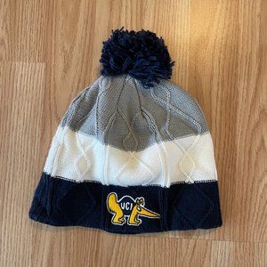 UCI beanie with anteater logo